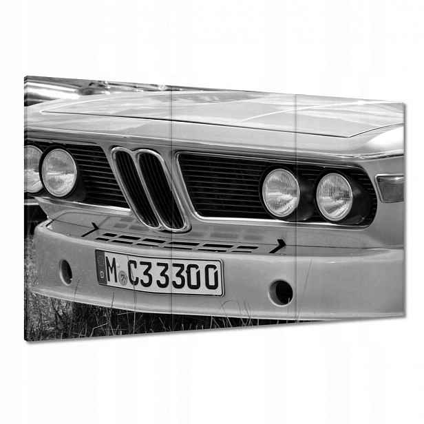 Obrazy 120x80 Bmw Skutečný žralok