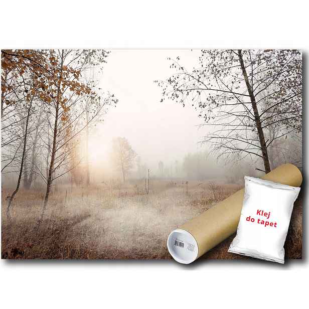 Vinylová fototapeta Příroda mlha ráno 152x104