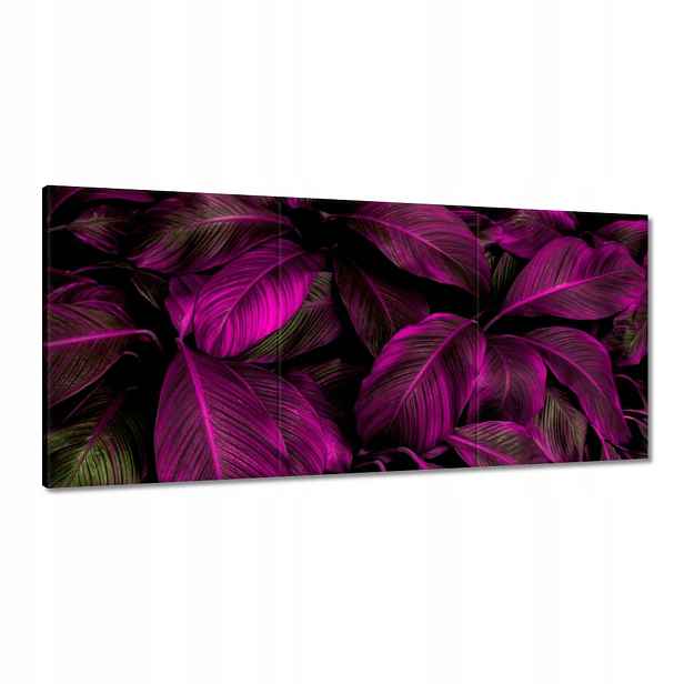 Obrazy 210x100 Krásné fuchsiové listy