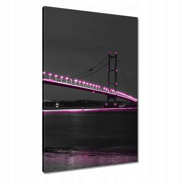 Obrazy 60x90 Fialové osvětlení