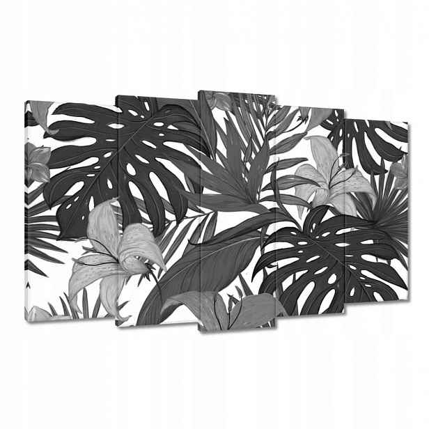 Obrazy 100x60 Černobílá monstera