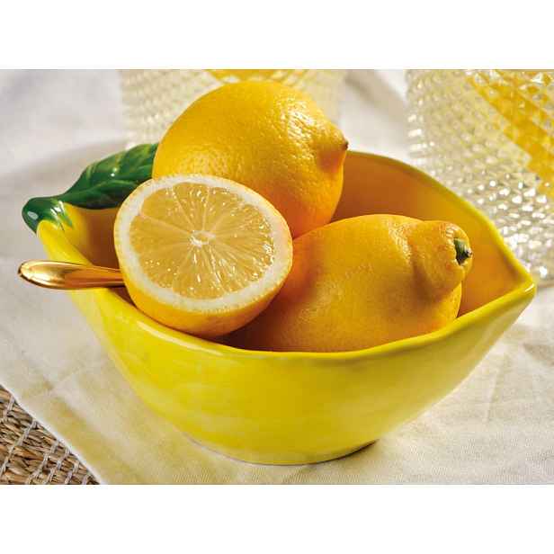 Miska Citron 12x6 cm, žlutá