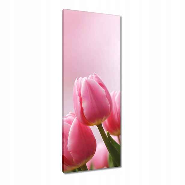 Obrazy 40x100 Růžové tulipány