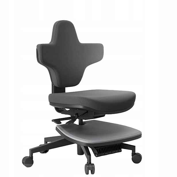 Ergonomické kancelářské křeslo s rozkládací podložkou na stání, Nastavitelné, černé