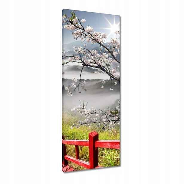 Obrazy 40x100 Červený most v Japonsku