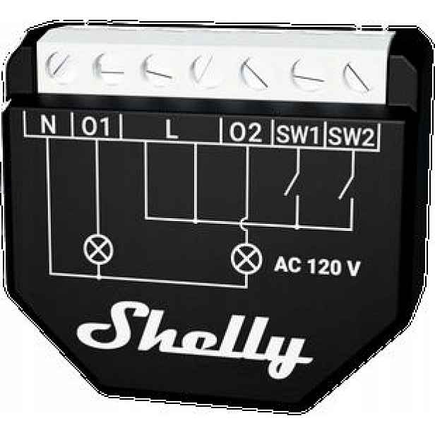 Shelly Qubino Wave 2PM