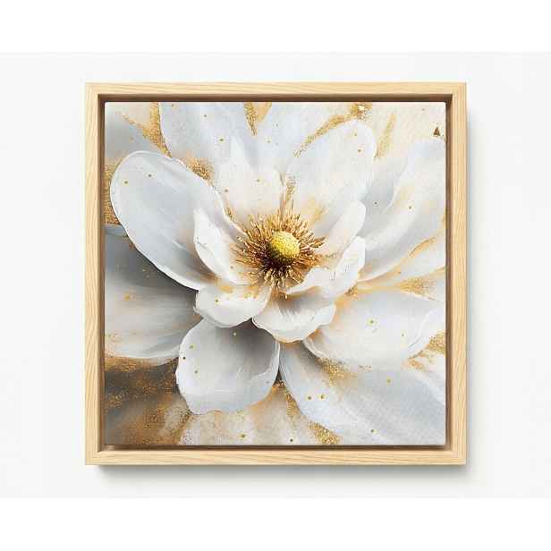 Obraz Rám Americký Box Příroda Bílý Květ Magnolie Glamour 60x60