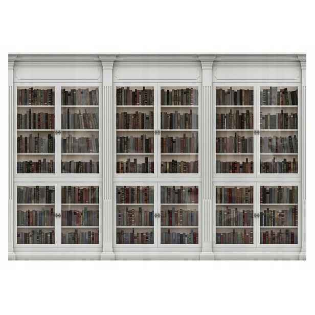Fototapeta regál knihovna knihy Lepidlo 254x184