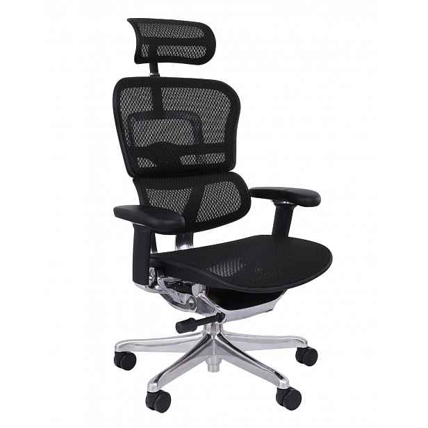 Kancelářská židle Ergohuman 2 Elite ST BS black