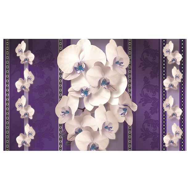 Fototapeta Orchideje bílé na fialovém pozadí ornament 368x254 lepidlo