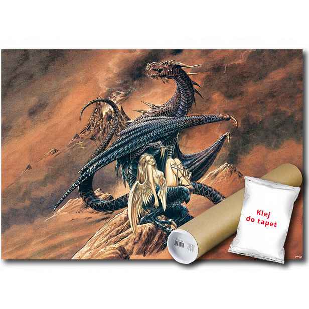 Vinylová fototapeta Alchemy Anděl Drak 104x70,5
