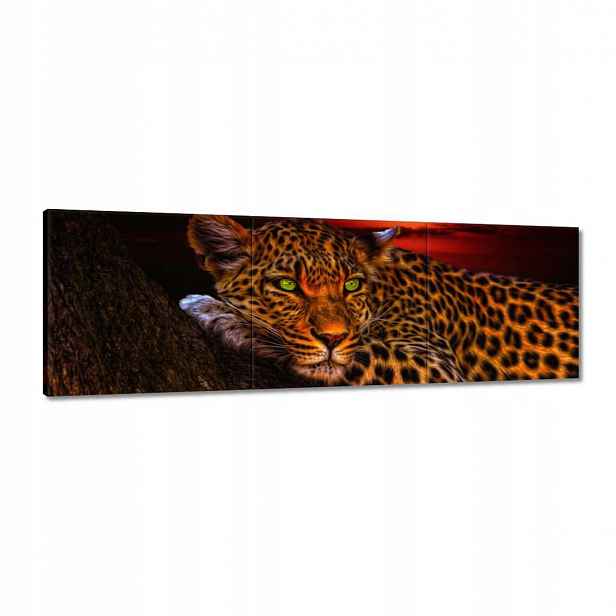 Obrazy 120x40 Leopard pantera