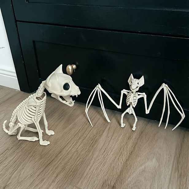 TEMU 2 ks Realistické halloweenské ozdoby ve tvaru koťátka, netopýra a kostry, pohyblivá hlava a čelist, vhodné pro zahradní trávníky, strašidelné