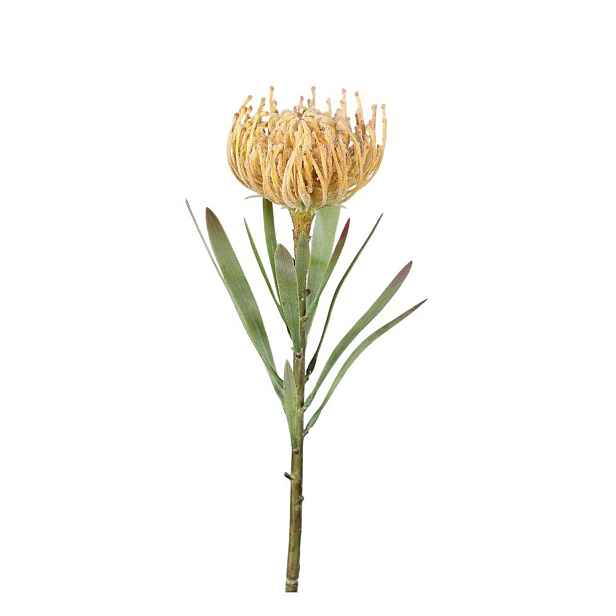 Umělá květina (výška 43 cm) Protea – Ego Dekor
