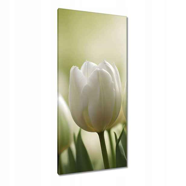 Obrazy 55x115 Bílé tulipány