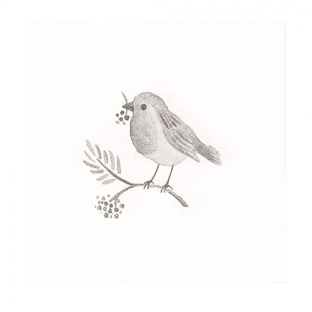 Bílé papírové ubrousky s ptáčkem Love Bird - 33*33 cm (20ks) Clayre & Eef