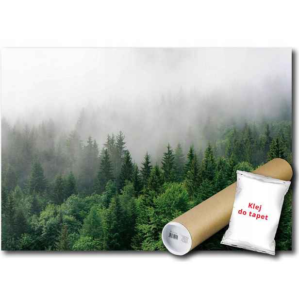 Vinylová Fototapeta Les Hory Mlha Pohled 152x104