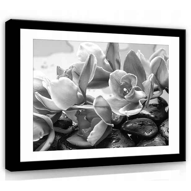 Obraz Na Plátně Canvas 80x60 Orchidej Orchidej