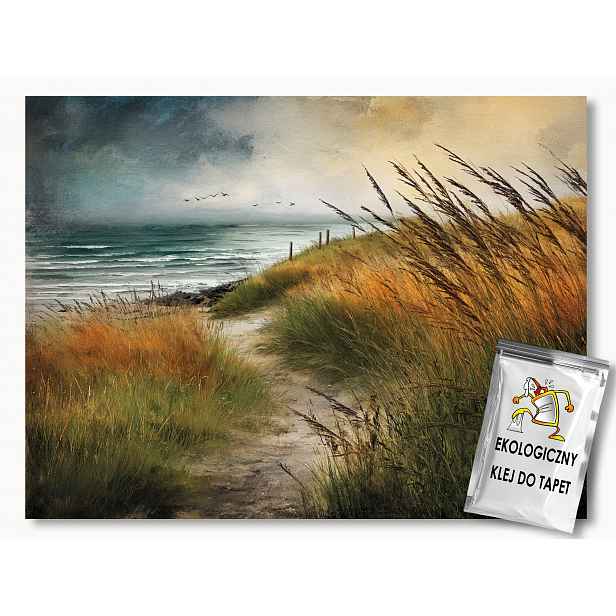 Fototapeta Flizelina Krajina Moře Pobřeží Stezka Trávy 368x254 130g