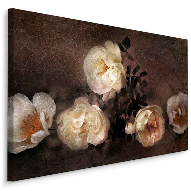 Plátno Vintage Divoké Růže Varianta: 30x20