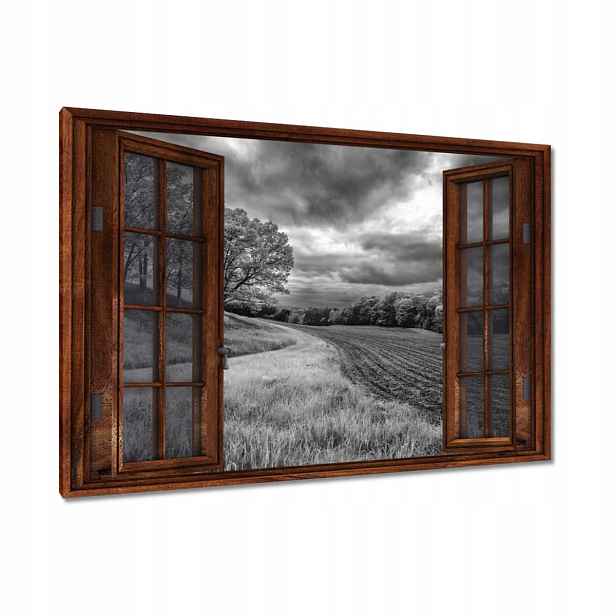 Obrazy 90x60 Černobílé pole
