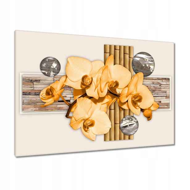 Obrazy 100x70 Oranžový orchidej