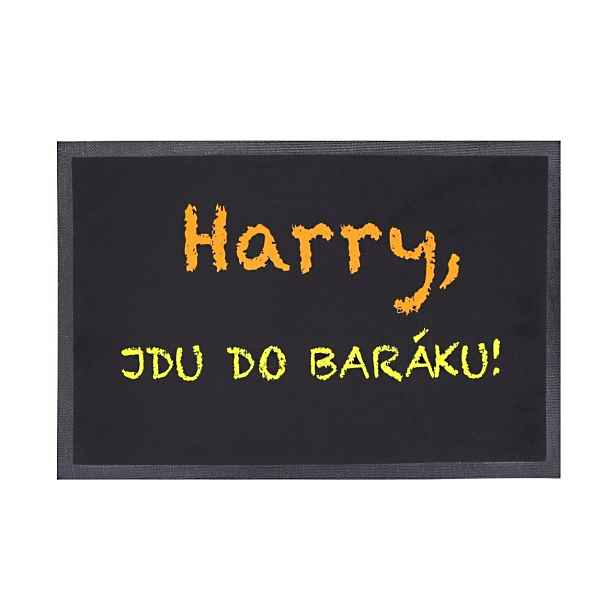 Rohožka Harry, jdu do baráku 40x60 cm, 40x60, černá, Mercury Flooring