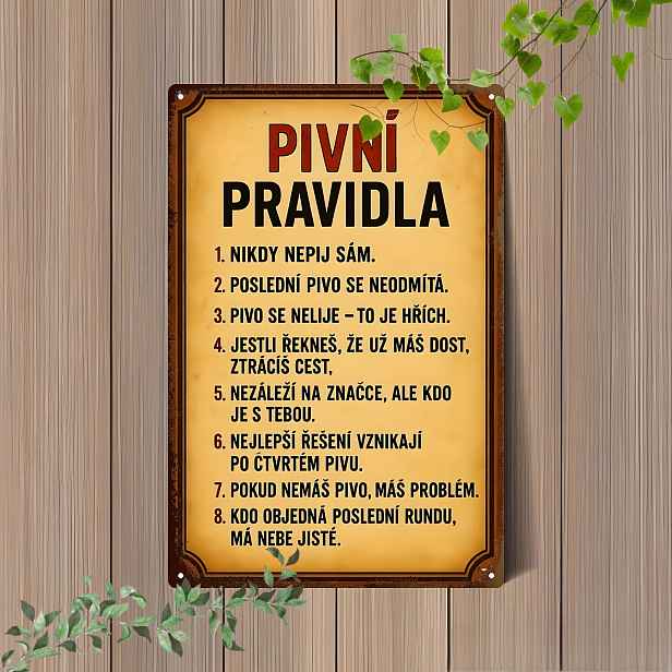 TEMU 2D plochá - Plochá 2D kovová cedule s pravidly českého piva, navržená vintage průvodce pro hospody, zobrazující fráze související s pivem a
