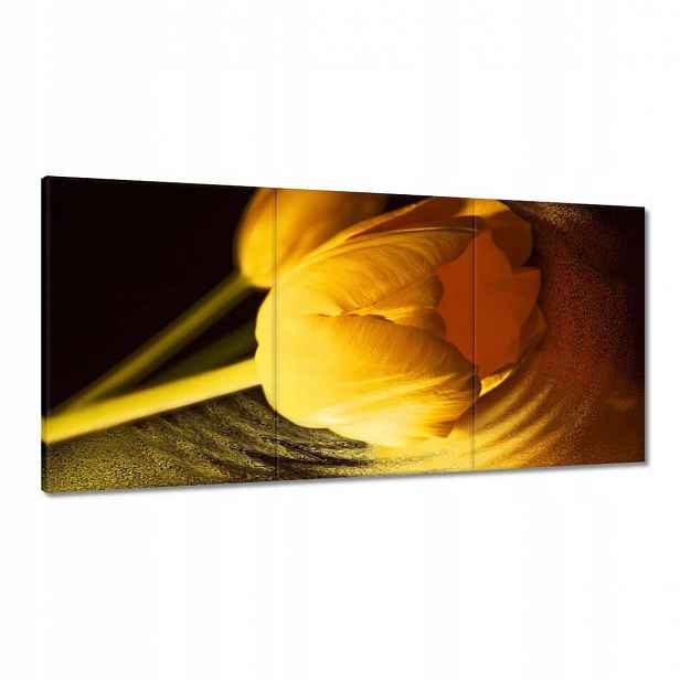 Obrazy 180x90 Žluto-zlatý tulipán