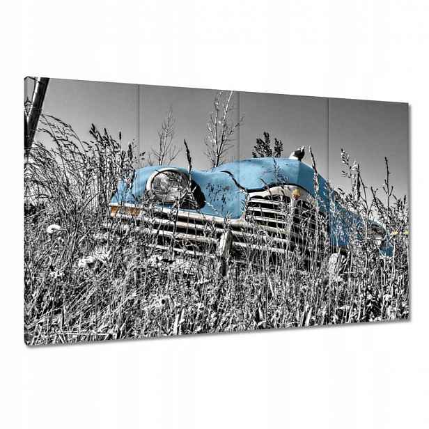 Obrazy 120x80 Světle Modrá Stařec Zabytek