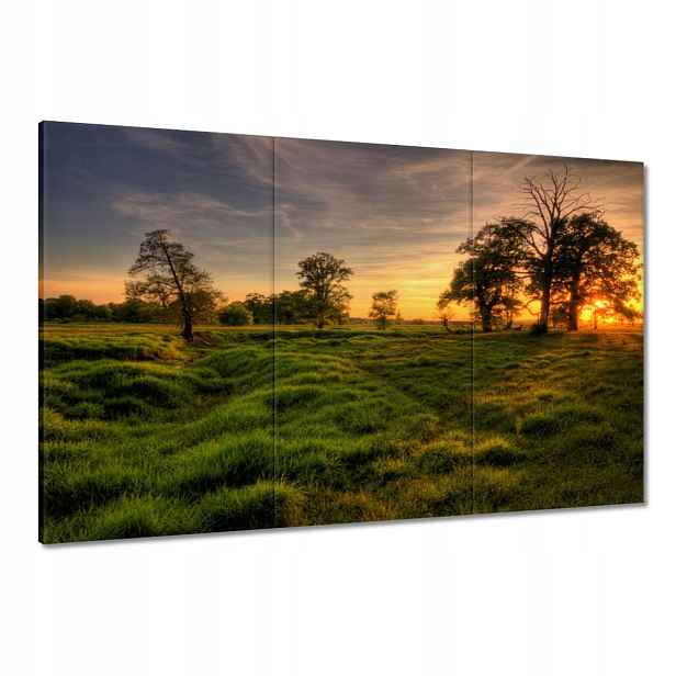 Obrazy 120x80 Západ slunce v Rogalině