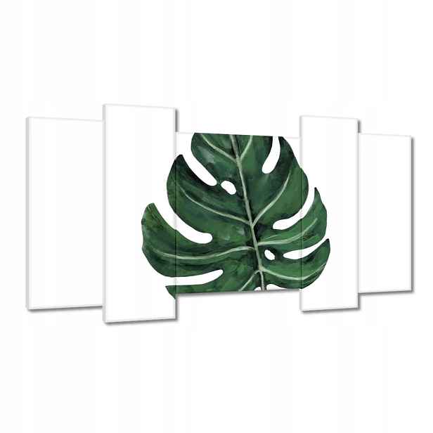 Obrazy 120x65 Monstera Zelený list