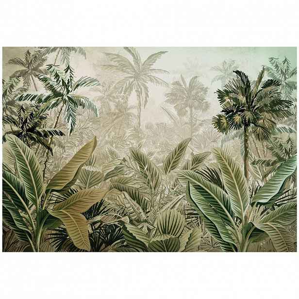 Wallarena FOTOTAPETA Jungle Forest Vliesová tapeta 200x140