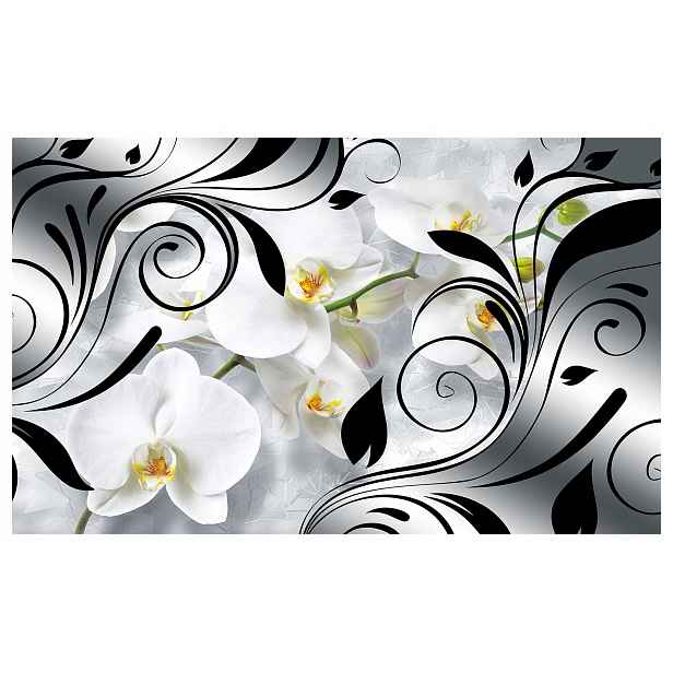 Fototapeta Orchideje šedé gradient 250x175 Elegance a styl lepidlo