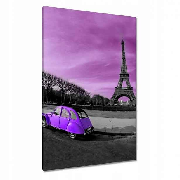 Obrazy 80x120 Fialový Citroen