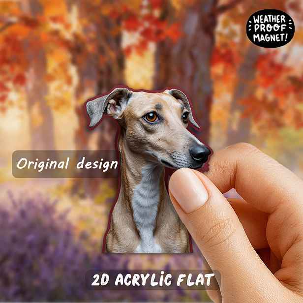 TEMU 1 ks Elegantní magnet Whippet vhodný pro milovníky psů, lesklé akrylové magnety na lednici s portrétem Whippeta s hnědýma očima na vínovém
