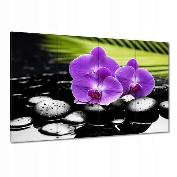 Obrazy 120x80 Fialové orchideje
