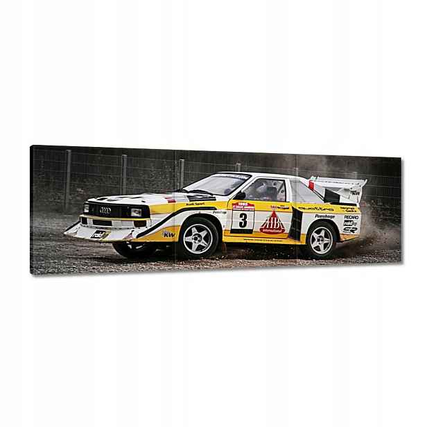 Obrazy 120x40 Audi Quattro Drift bokem