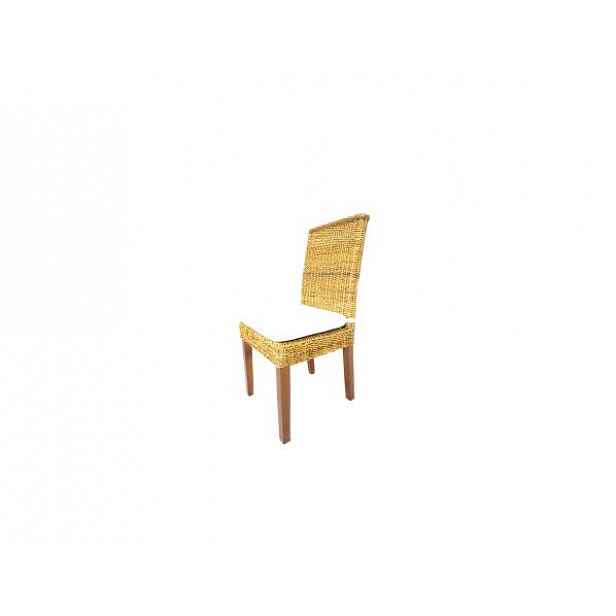 Jídelní židle LENKA, banánový list, mahagon, bílá