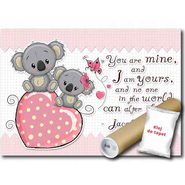 Vinylová fototapeta Medvídek Koala 152x104