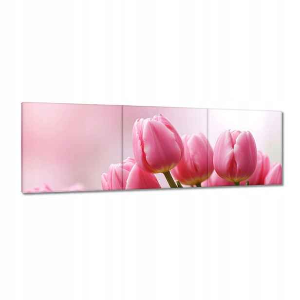 Obrazy 150x50 Růžové tulipány