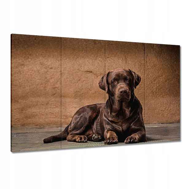 Obrazy 120x80 Hnědý přítel Pes