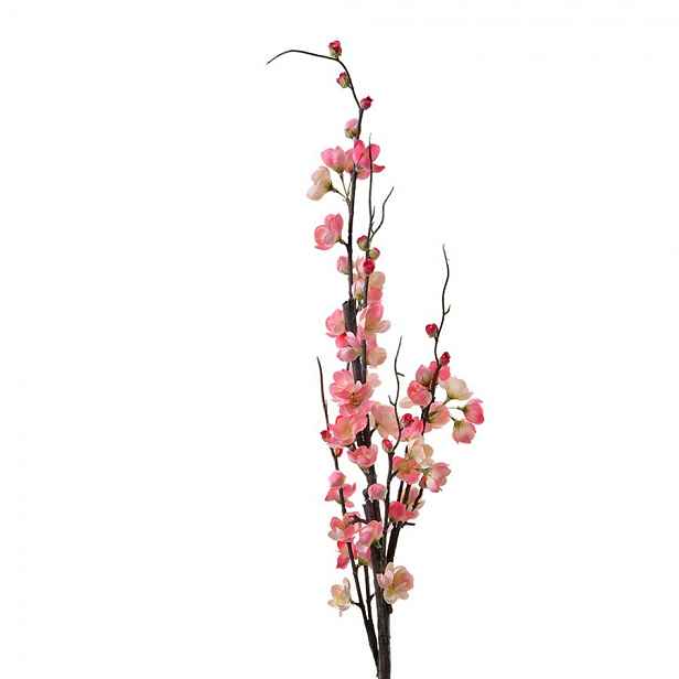 Dekorace umělá růžově kvetoucí větvička Cherry Blossom - 7*7*115 cm Clayre & Eef
