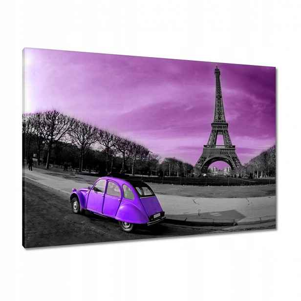 Obrazy 100x70 Fialová Citroen