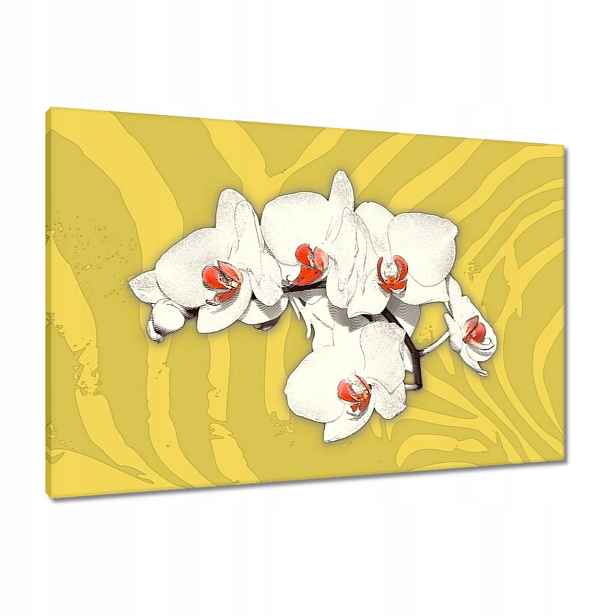 Obrazy 90x60 Orchideje Květiny na žlutém pozadí