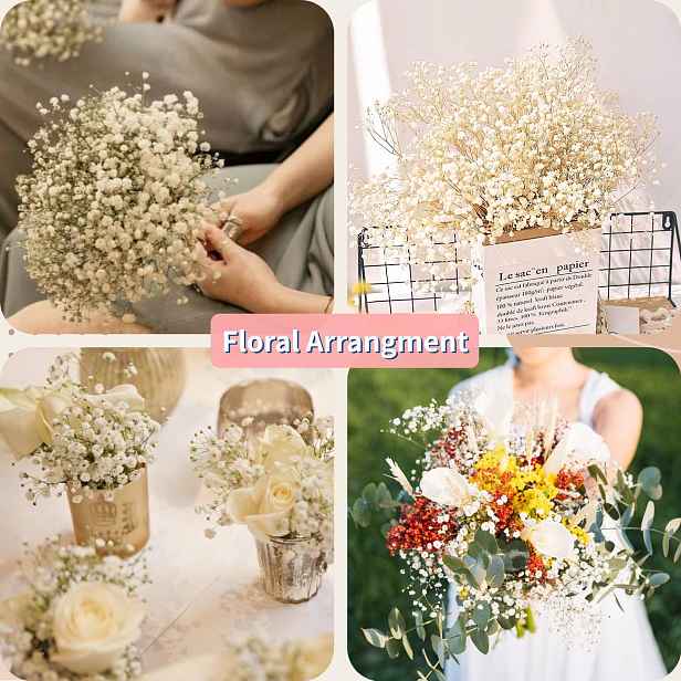 TEMU 3100 ks+ Sušené květy pěnová růže Slonovinově bílé sušené květy Přírodní kytice gypsophily Elegantní boho váza do domácnosti Dekorace do