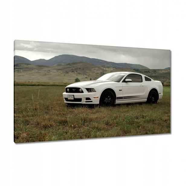 Obrazy 120x70 Bílý Ford Mustang