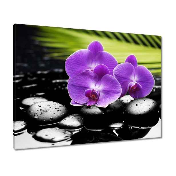 Obrazy 80x60 Fialové orchideje