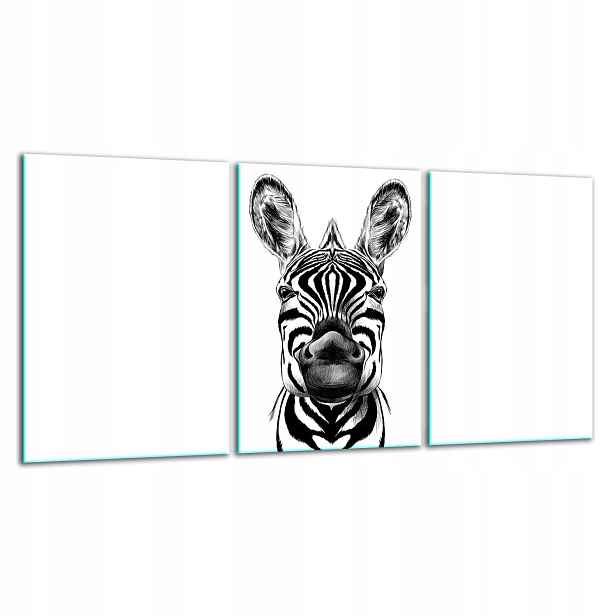 7v1 Skleněná Krájecí Deska 3x30x52 Zebra