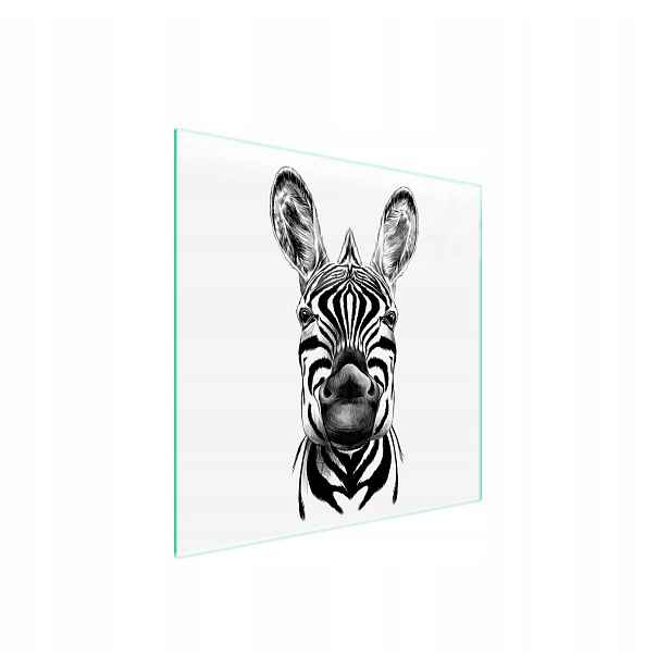 7v1 skleněná ochranná deska na sporák 50x52 Zebra